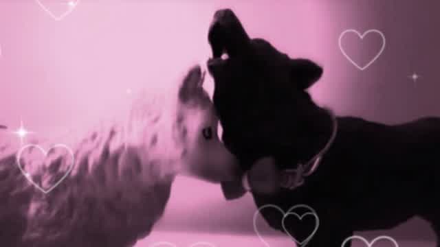 Teenage dream [complete Valentines Day Schleich mep]