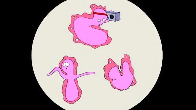 Hipno-gérmenes [Español Latino]