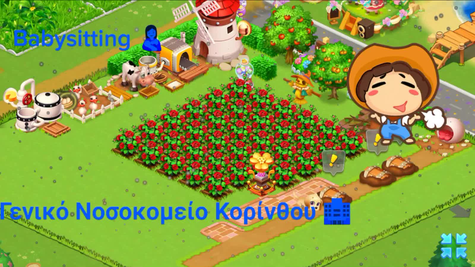 Послеобеденная еда и отдых 🏠