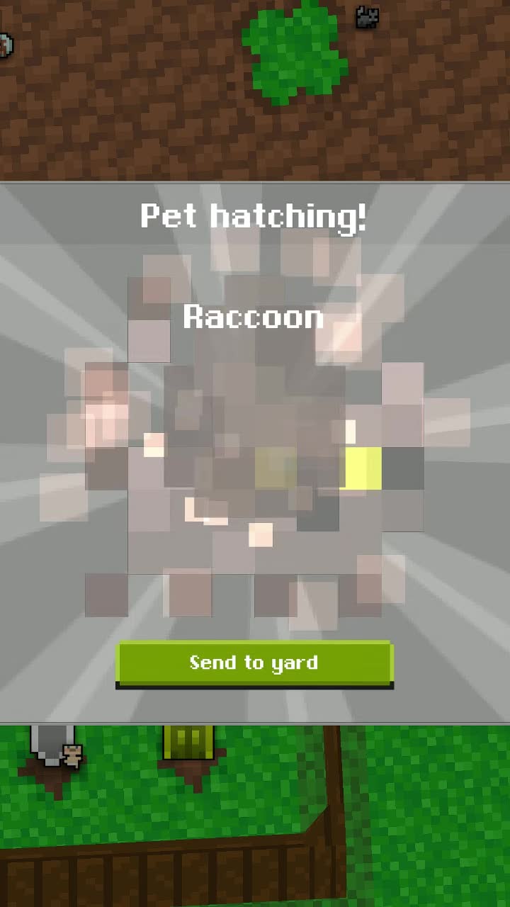 Common Woodland Egg-Raccoon