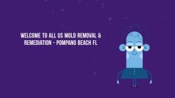 Professional Mold Removal and Remediation in Pompano Beach FL