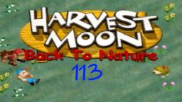 Let´s Play Harvest Moon Back To Nature ★ 113 ★ Der erste Wintertag