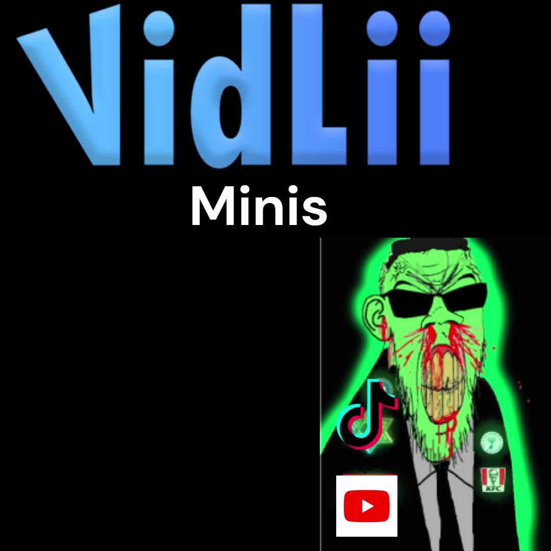 VIDLII MINIS IS THE BEST #minis