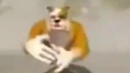 fart fart fart