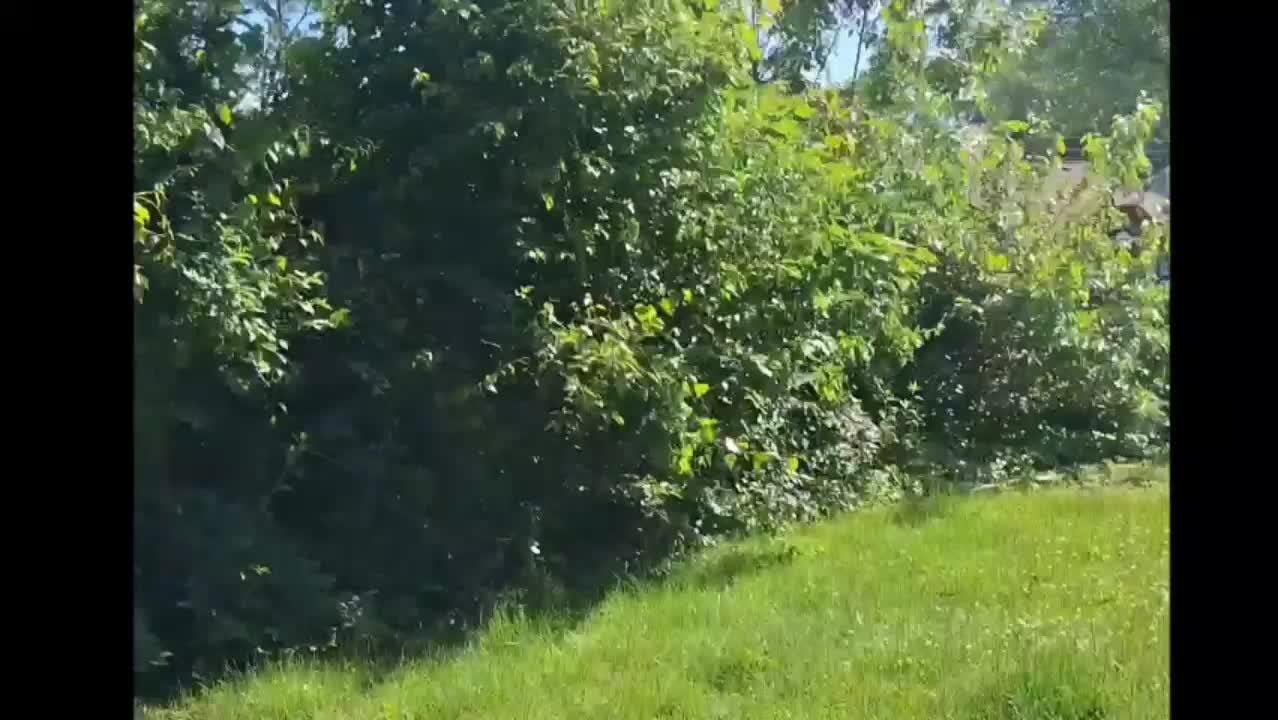 A nice day in 2007