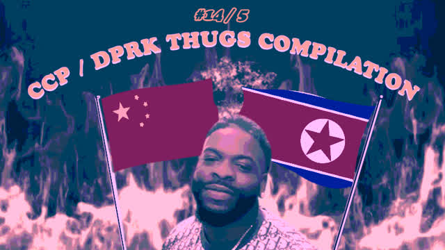 CCP / DPRK THUGS COMPILATION (#14 / 5)