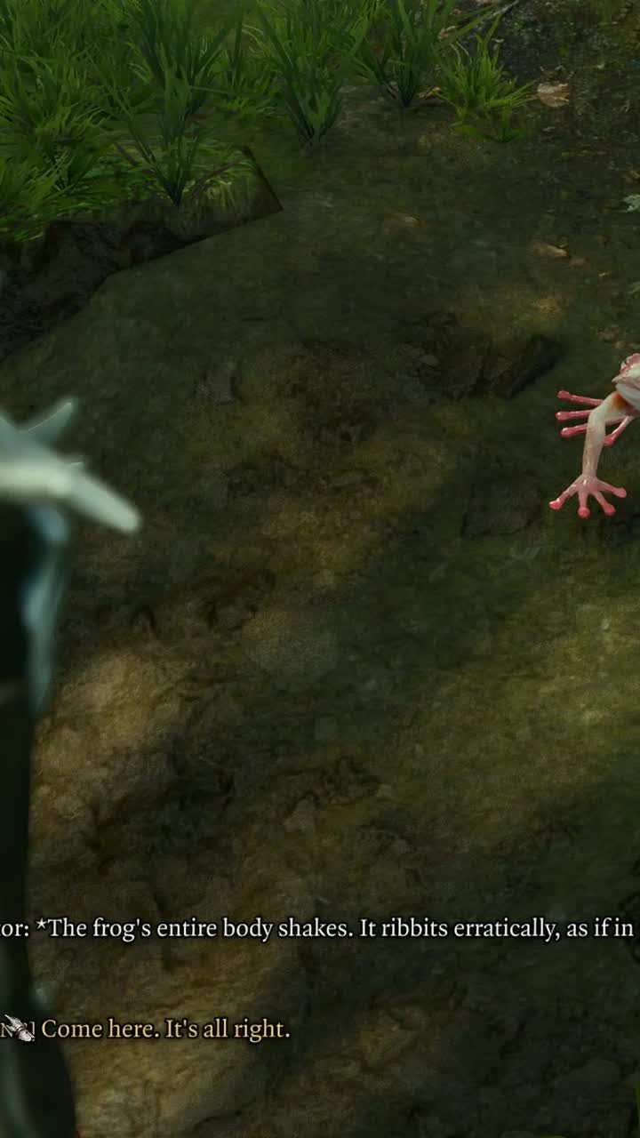 I'm A Vet Now I'm A Vet Now