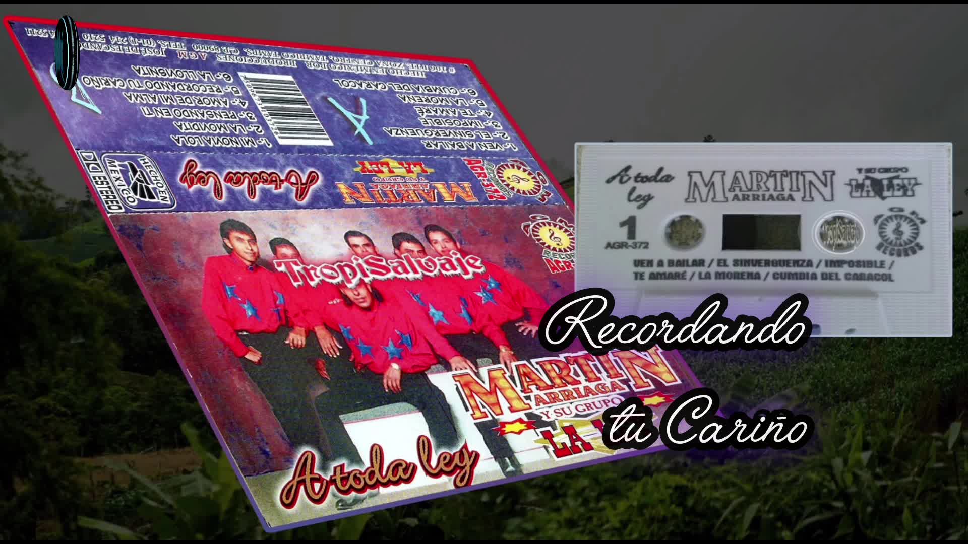 Martin Arriaga Recordando tu cariño Martin Arriaga Recordando tu cariño