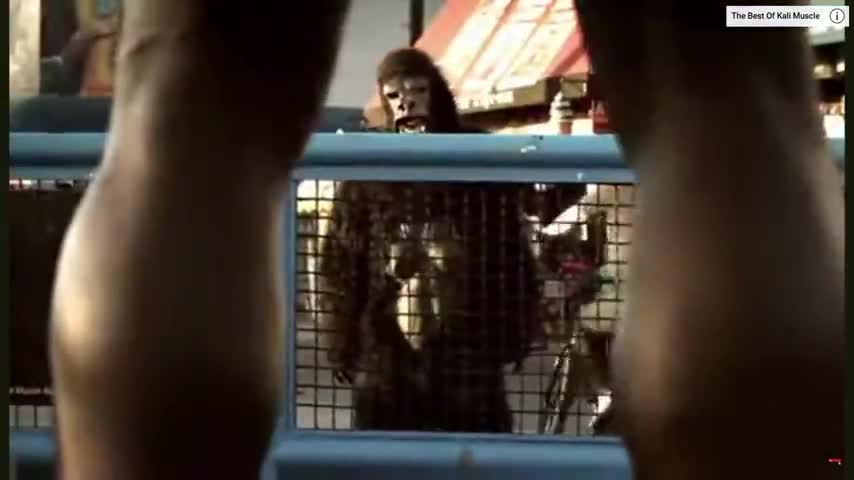 Strong Black man vs Gorilla