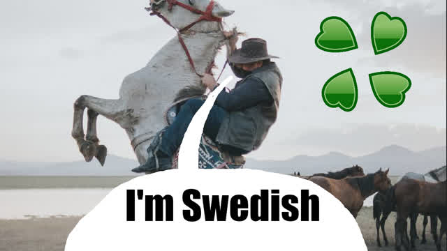 The Gay Cowboy of 4chan
