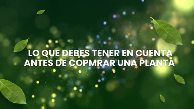 lo que debes tener en cuenta al comprar plantas