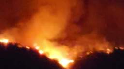Large forest fire on the island of Tenerife the authorities decided to evacuate the inhabitants of s