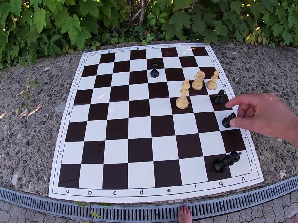 Simple, logical chess study – composed by Peter Krug