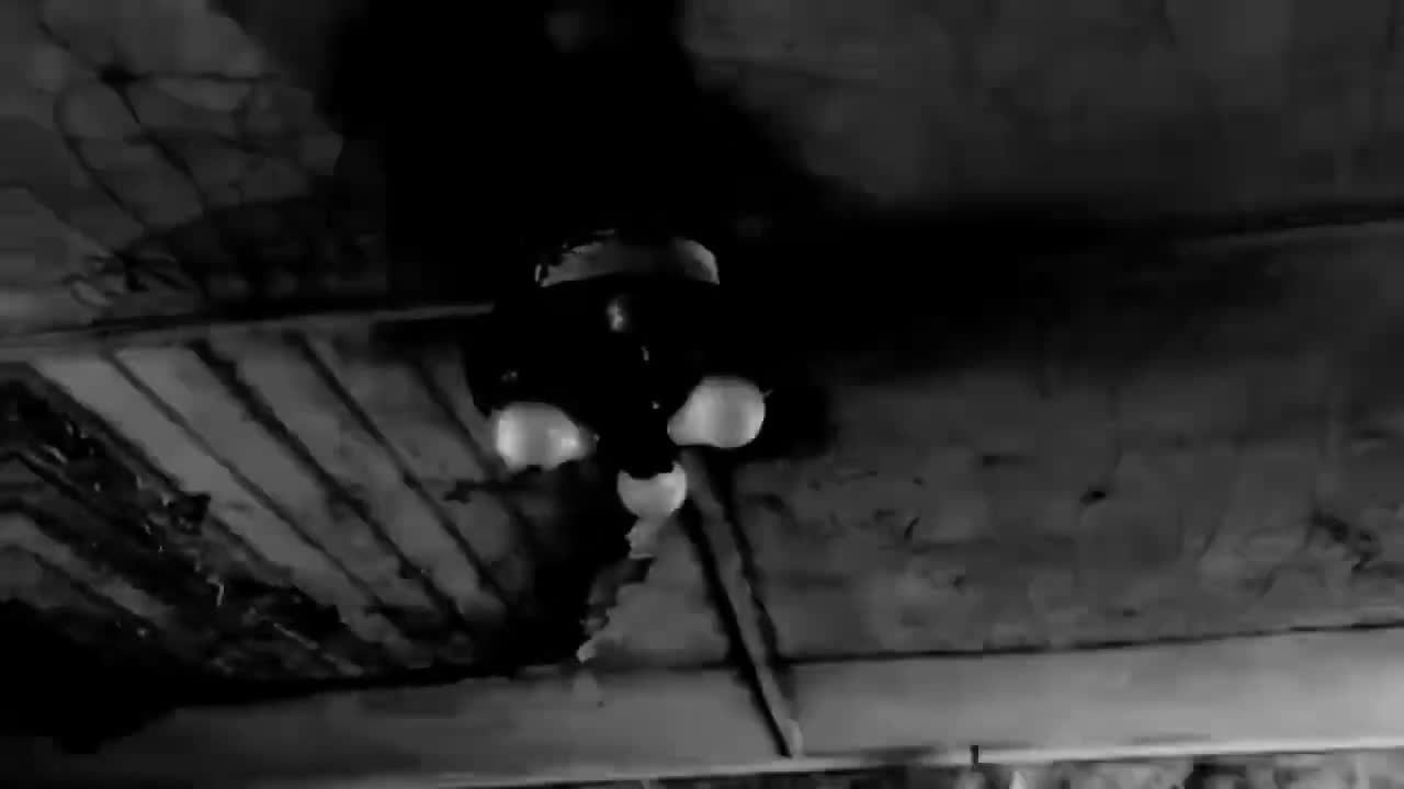 S1M0N3 - DarkWeb
