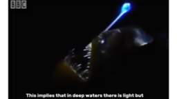 Science