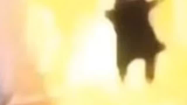 Hola tonotos Hola tonotos