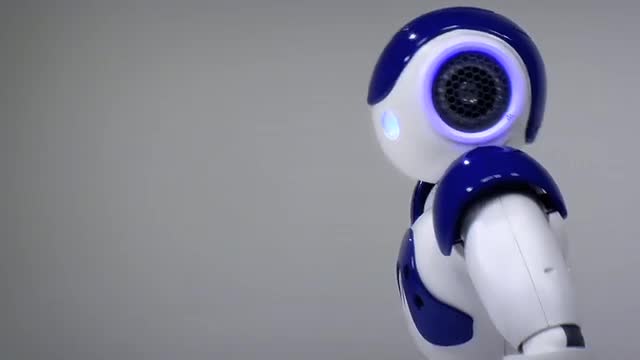 Nao Robot