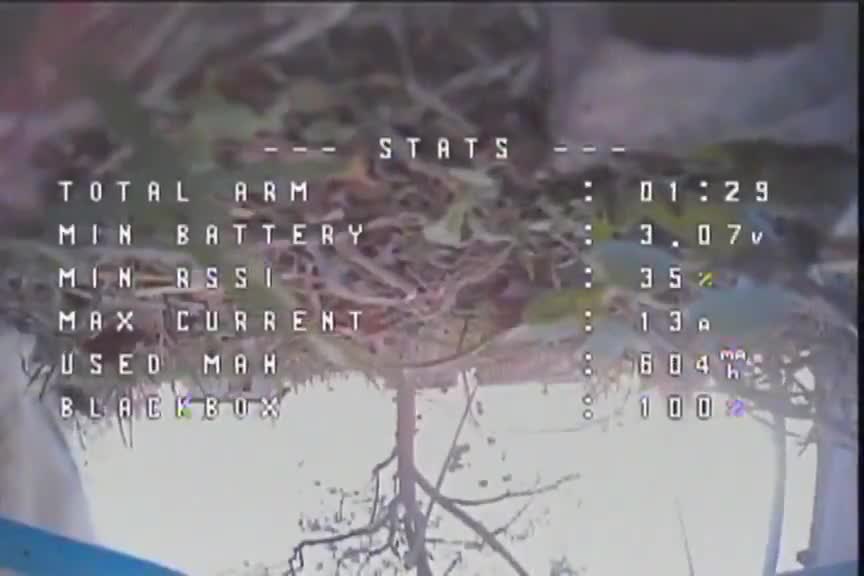 cat knocks down ukrainian drone