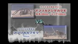 Japanese Bug Fights: Whip Spider vs. Cobra Head Mantis (S01E19)