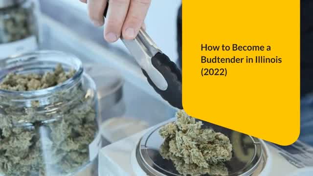 How to Become a Budtender in Illinois (2022)