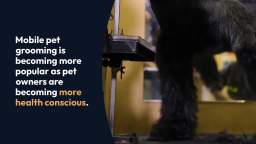 Mobile Pet Grooming The Future of the Pet Industry