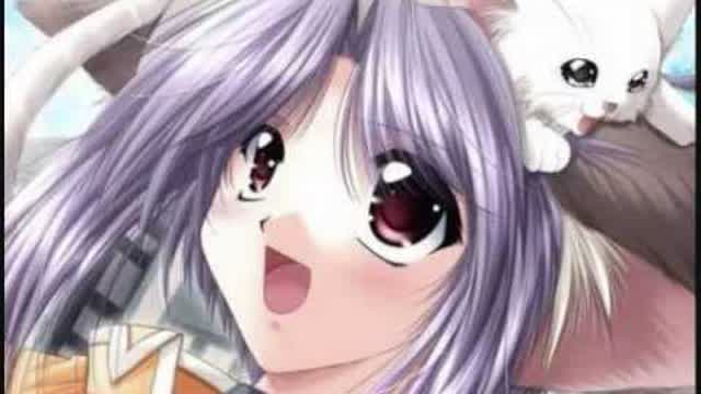 Cant Hug  Every Cat ANIME