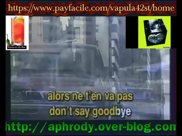 2 be 3       do't say goodbye karaoke 2022 rmk42tvkaraoke