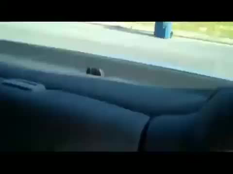 SLL Movie: Mario's New Car