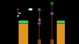 Let's Play Super Mario Bros 2 Part 5 - World 5