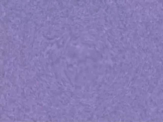 Klasky Csupo in G-Major 74 Klasky Csupo in G-Major 74