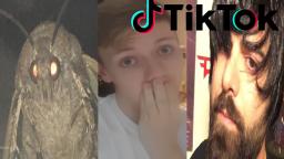Tik Tok but its replaced with moth lamp