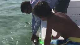 dumbass loses a fucking finger to an baby shark