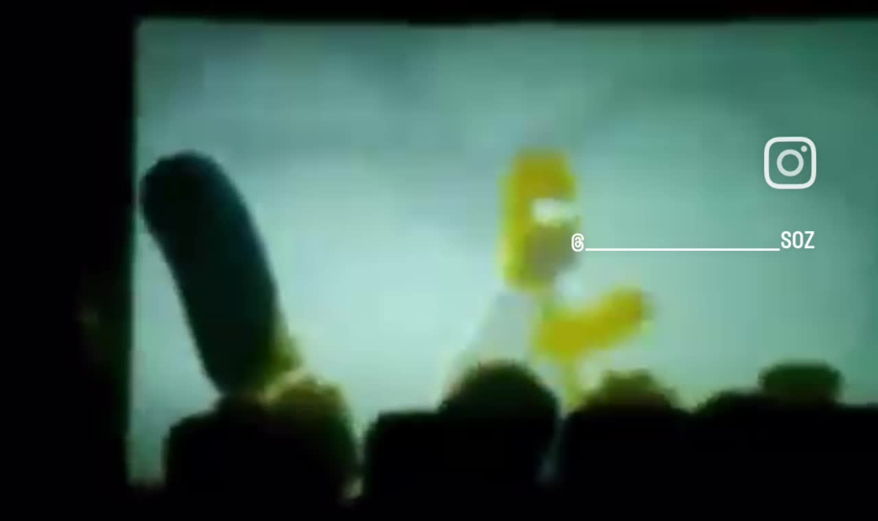 The type of movies you'll get when you buy dvds from a shady man