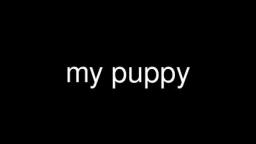 little puppy text