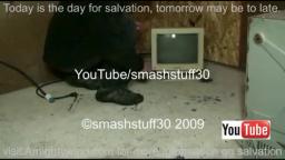 smash Packard Bell computer monitor