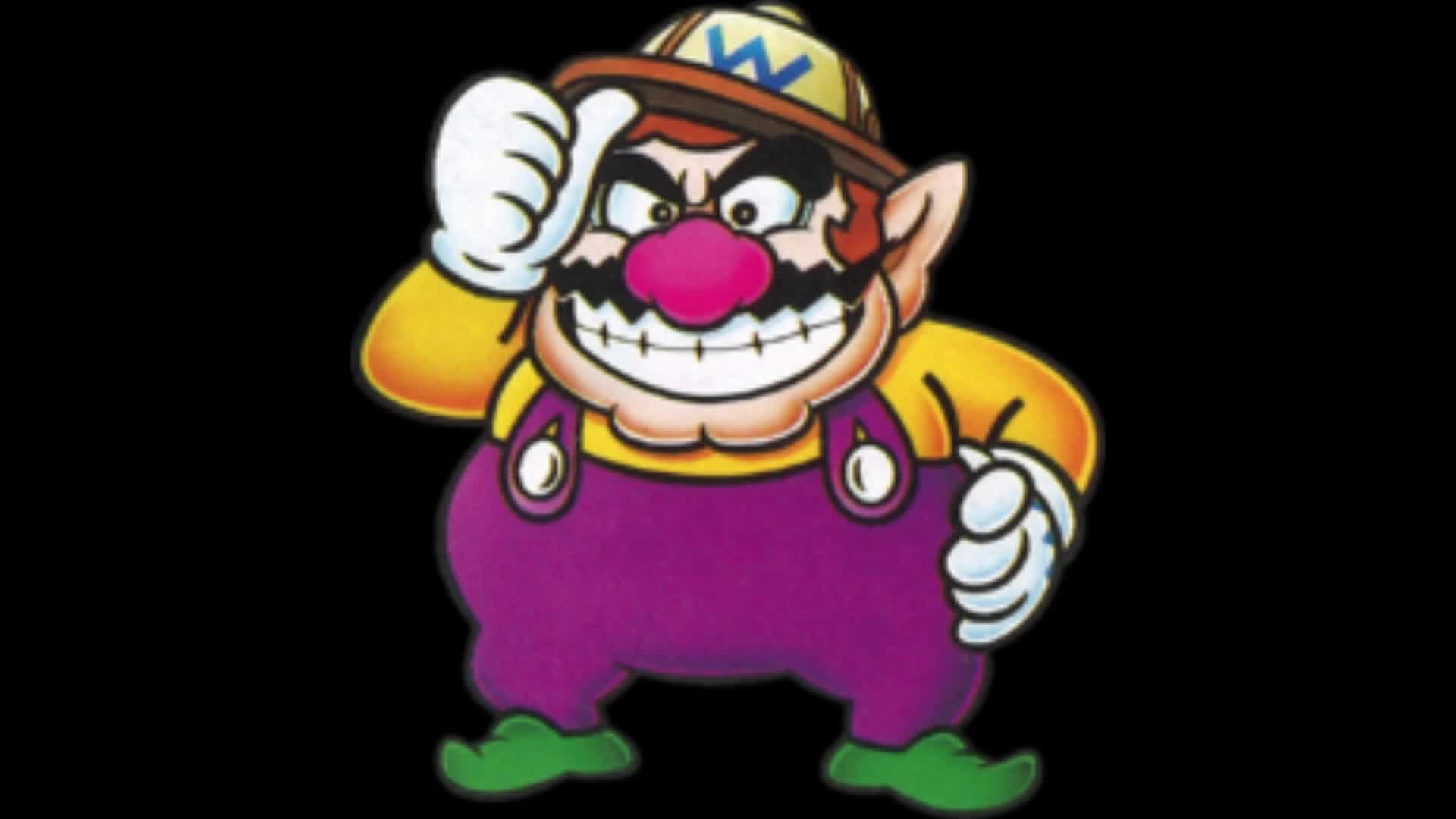 WarioRoundup and the gang