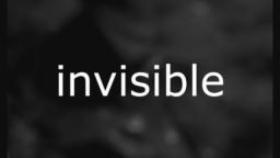 Invisible