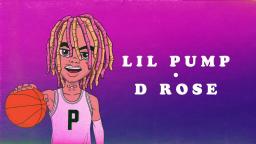 Lil Pump - D Rose (Official Audio)
