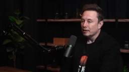 Elon Musk released a base about the Gaza Strip and Hamas