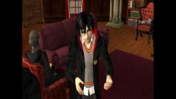 Sims 2 Harry Potter and The Order of Phoenix Chapter 17