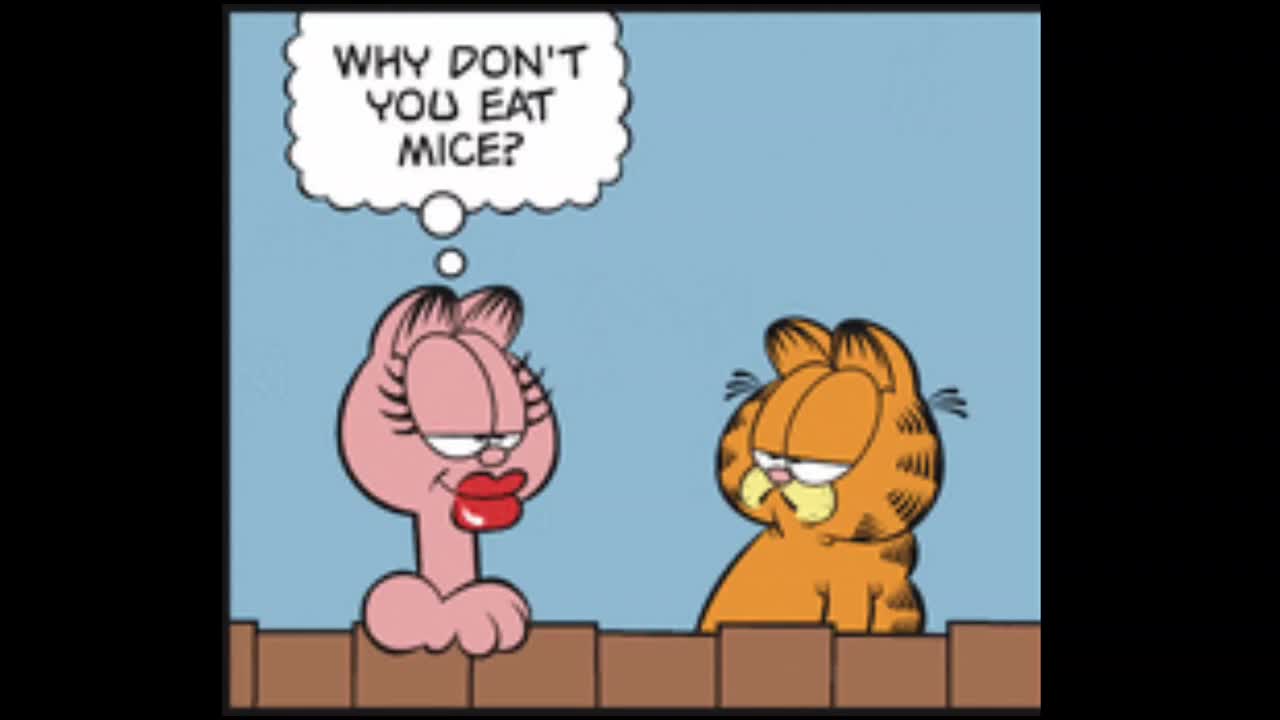 2025_08_08 Garfield Dub