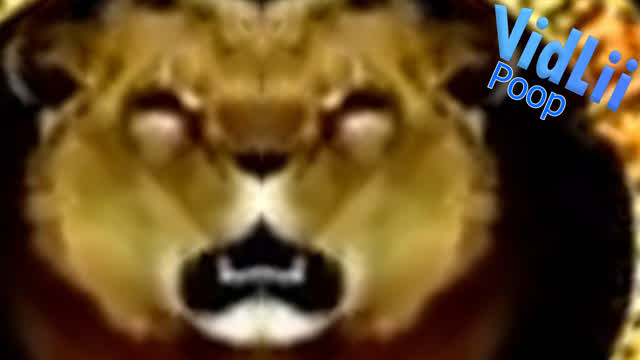 Another MGM Logo YTP