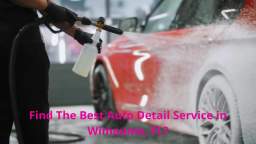 Steadiness Detailing - Auto Detail in Wimauma, FL