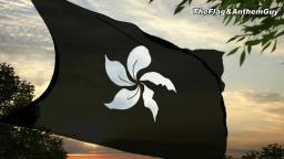Hong Kong Black Bauhinia flag 2