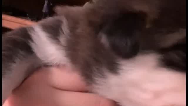 Their Eyes Are Opening Up!