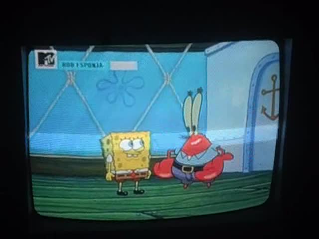 Bob esPonjA para AduLtos en Mtv o.o