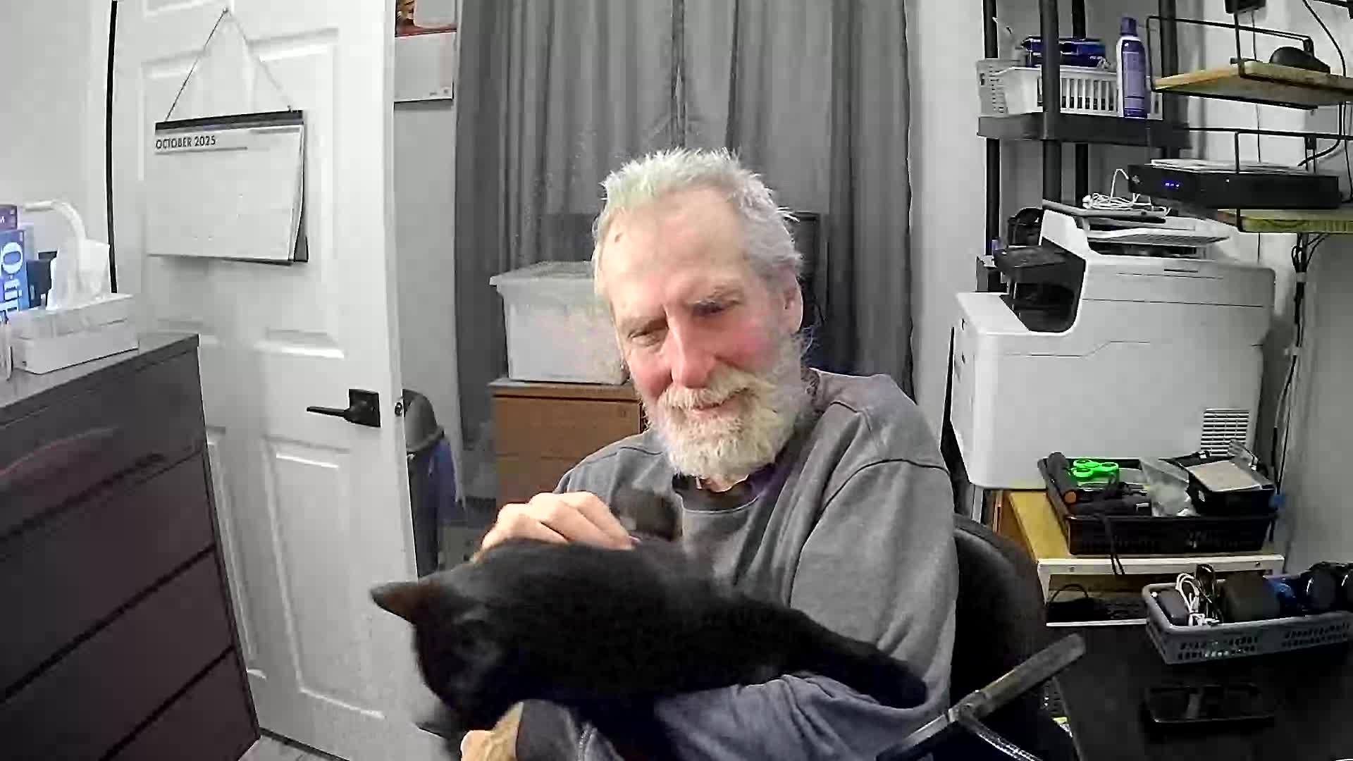 Murpy the cat