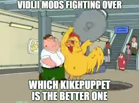 Vidlii mods be like