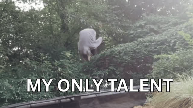 MY ONLY TALENT | First Vlog MY ONLY TALENT | First Vlog