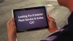 California Plantscapes Interior Plant Service in Irvine, CA